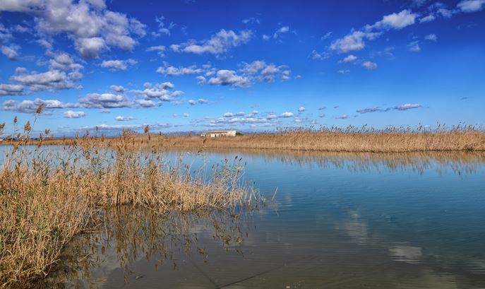 El 2 de febrero se celebra el Día Mundial de los Humedales