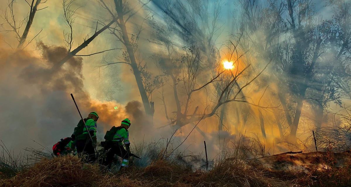 Hay que prevenir los incendios forestales