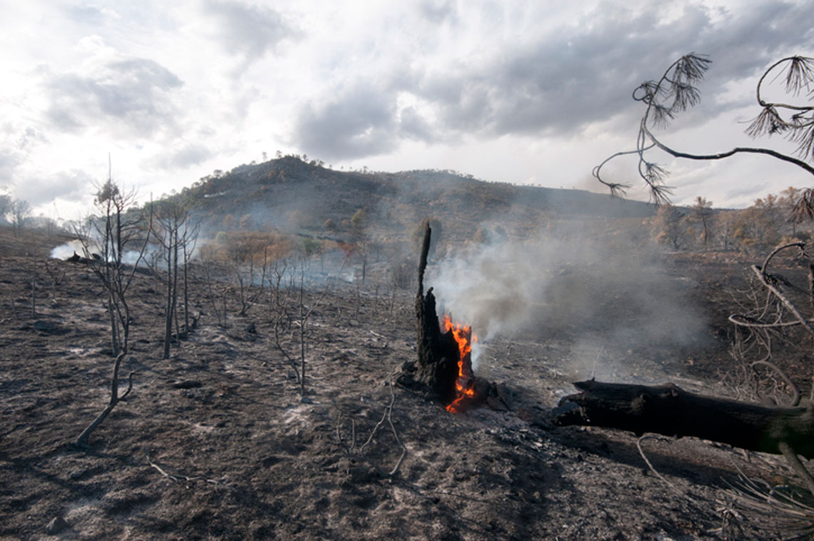 incendio forestal